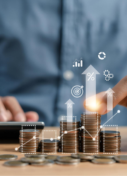 Monvex Finance Support